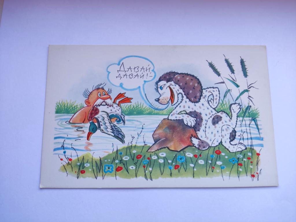 Открытка Натаска. Чистая. Серия "Охота и рыбалка"