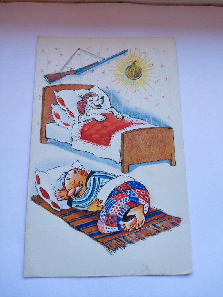 Открытка После выставки собак. Чистая. Серия "Охота и рыбалка"