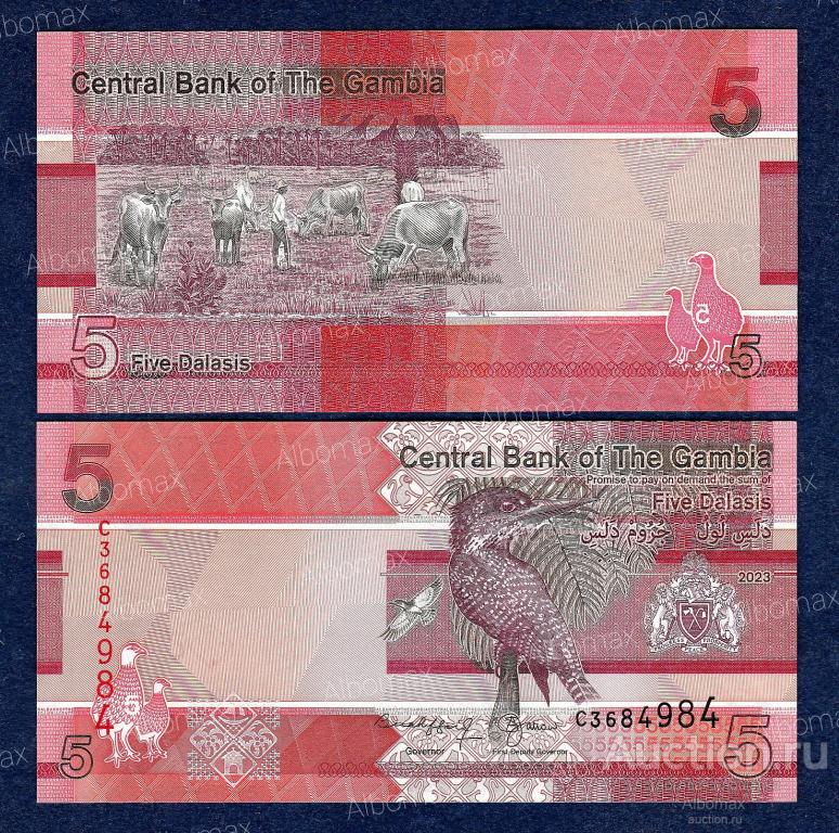 Гамбия 5 даласи 2023 (2024) год ПРЕСС UNC