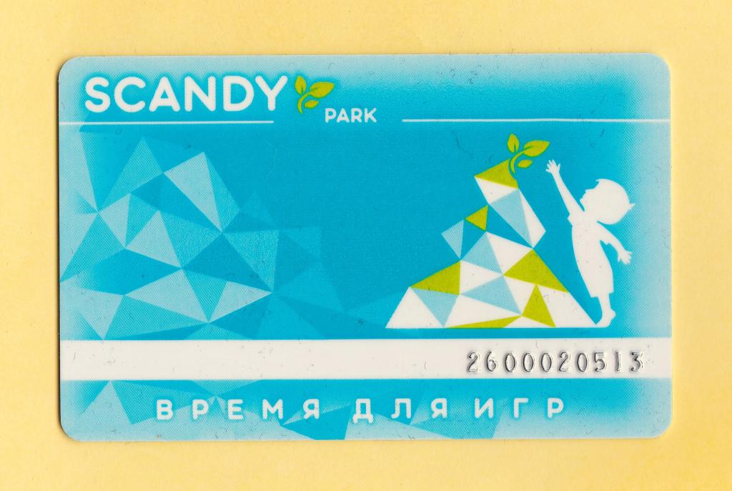 🟣 Пластиковая карта развлекательного центра SCANDY PARK.