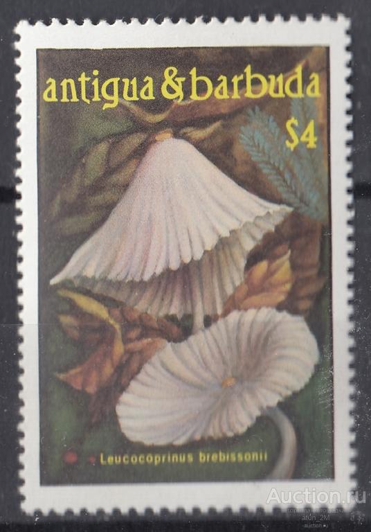 Антигуа и Барбуда. 1986 год. Грибы. Концовка серии. MNH