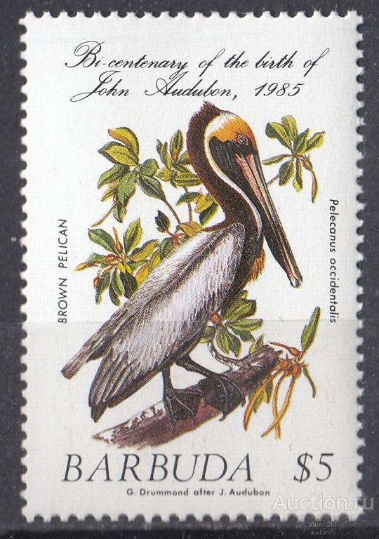 Барбуда. 1986 год. Птицы. Пеликан. Концовка серии. MNH
