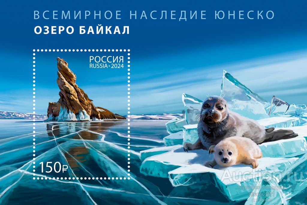 Россия 2024 Всемирное наследие ЮНЕСКО. Озеро Байкал. Фауна. Байкальские нерпы бл**