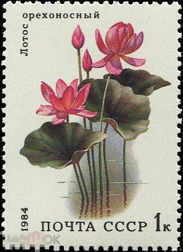 СССР 5501. 1984 год. Водные растения. Орехоносный лотос. Чистая (**) 