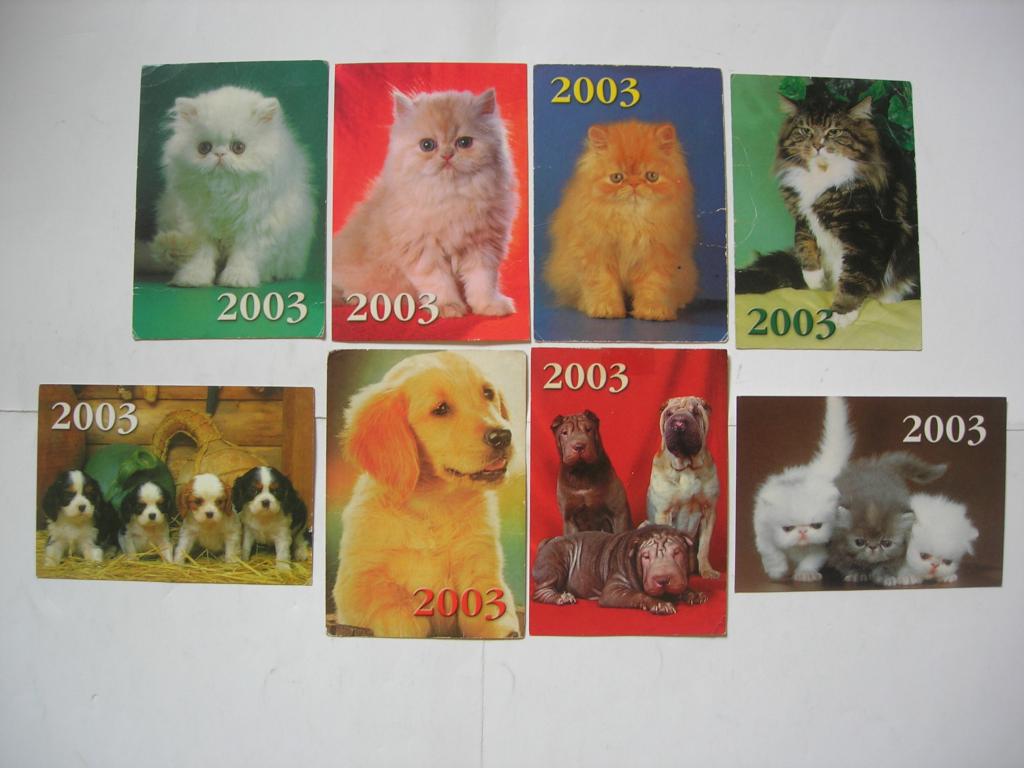 Кошки и собаки 2003