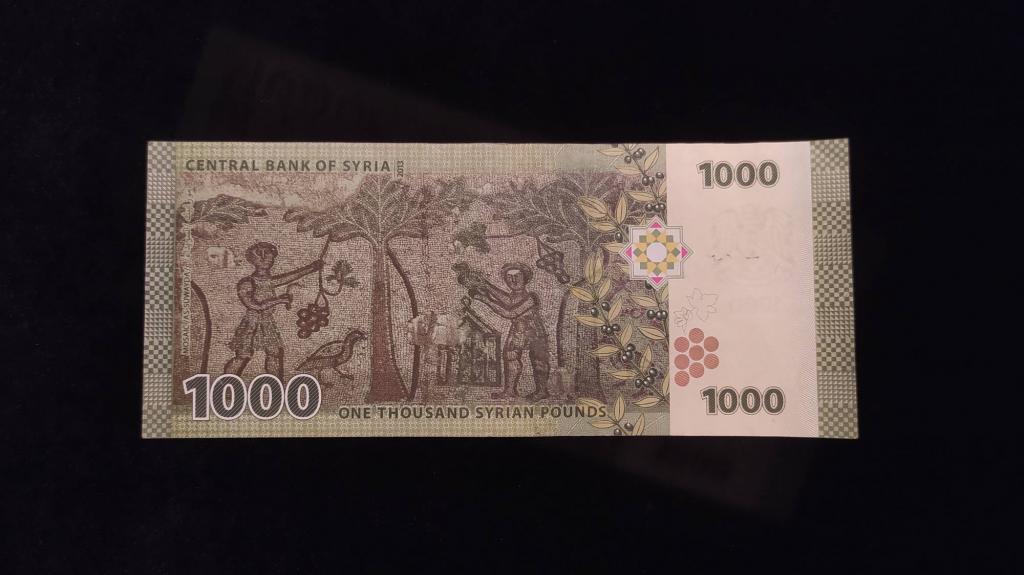 Банкнота Сирия 1000 фунтов 2013 года