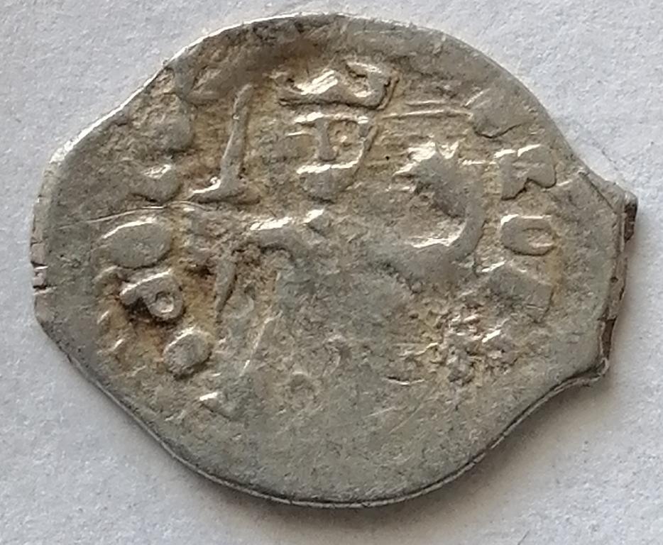 Чешуя. Иван III (1462  - 1505 )  Дозор. (15)