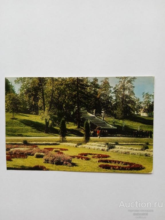 Открытка. Петродворец. Ленинград. Цветники у каскада шахматная гора. 1975г.