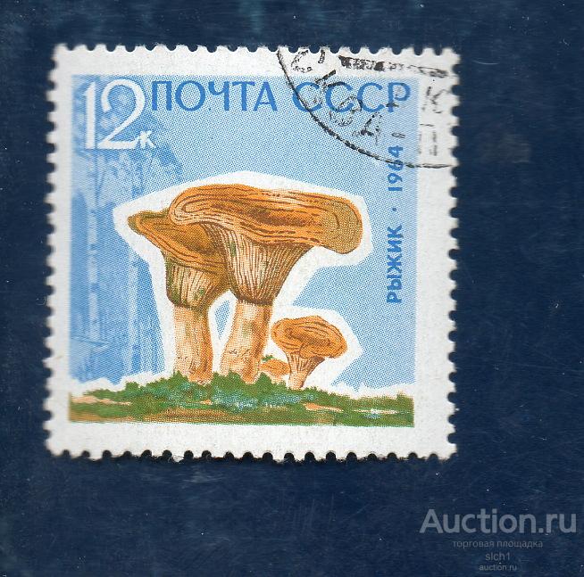 СССР 1964   Грибы  Рыжики  ГАШ