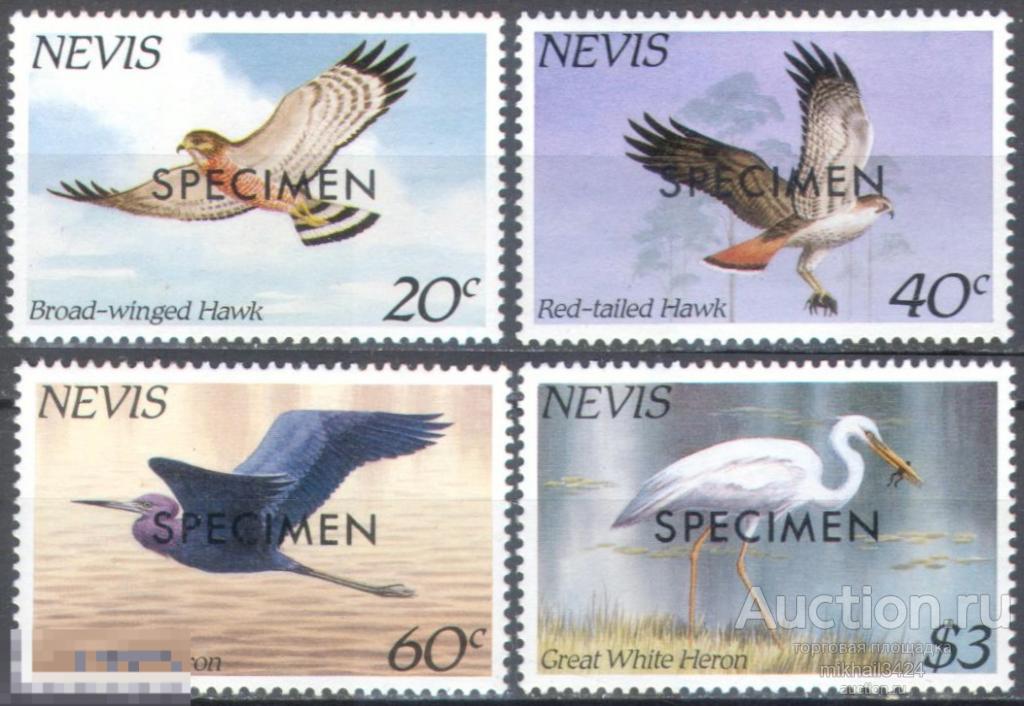 М0595 ✅ Фауна Птицы SPECIMEN 1985 Невис 4м п/с **