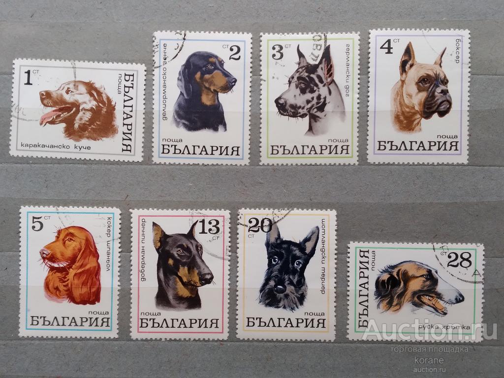 м   Болгария 1970 год   фауна  собаки