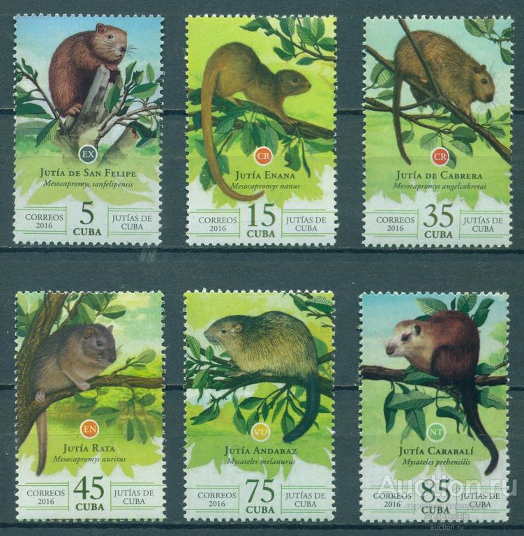 6103 Куба 2016г. Фауна - Грызуны Кубы Фауна, Грызуны MNH