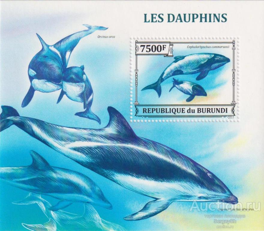 bi3232 Бурунди 2013г. Морская жизнь – дельфины Морская фауна, Дельфины MNH