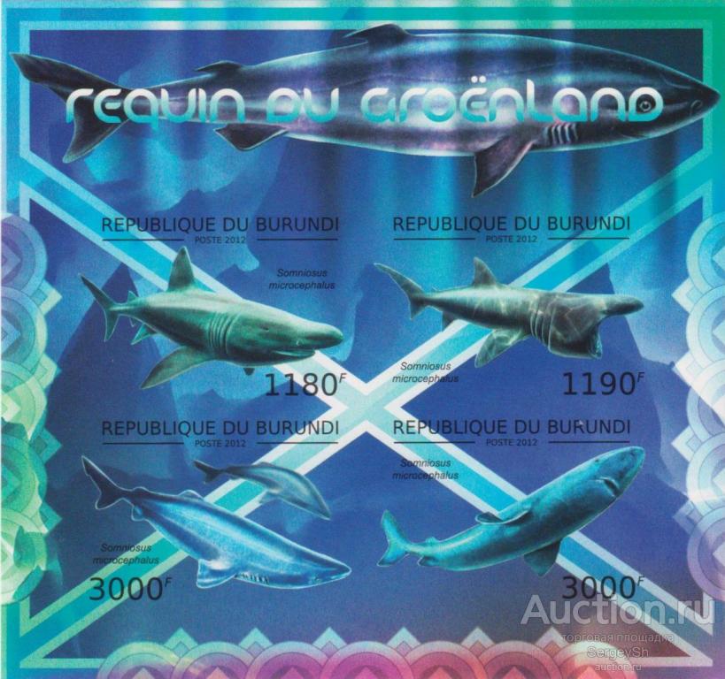 bi2642-2 Бурунди 2012г. Морская жизнь – гренландская акула Акулы, Рыбы MNH