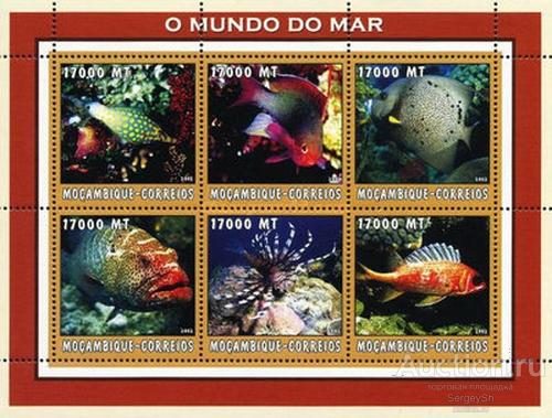 mz2664 Мозамбик 2002г. Морская жизнь - тропические рыбы Рыбы MNH
