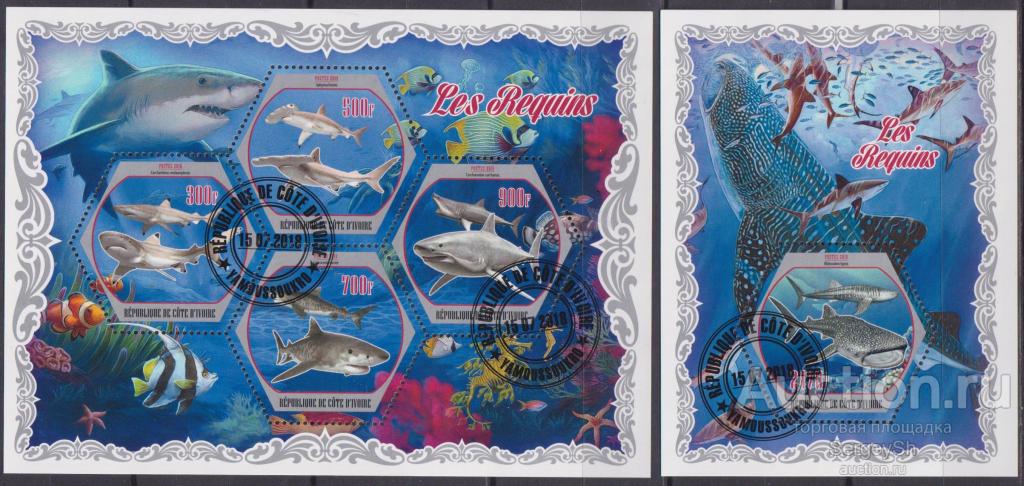 kd2018-12 Кот-д Ивуар 2018г. Киты Киты, Морская фауна U