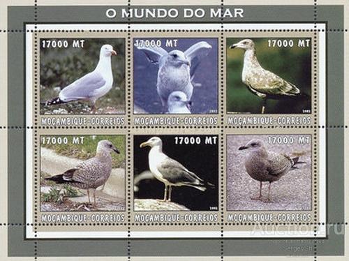 mz2615 Мозамбик 2002г. Морская жизнь - Птицы Птицы MNH