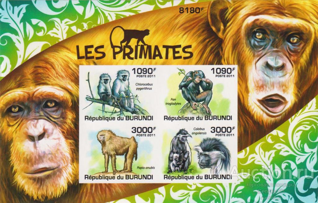 bi2054-2ml Бурунди 2011г. Фауна - Приматы Обезьяны MNH