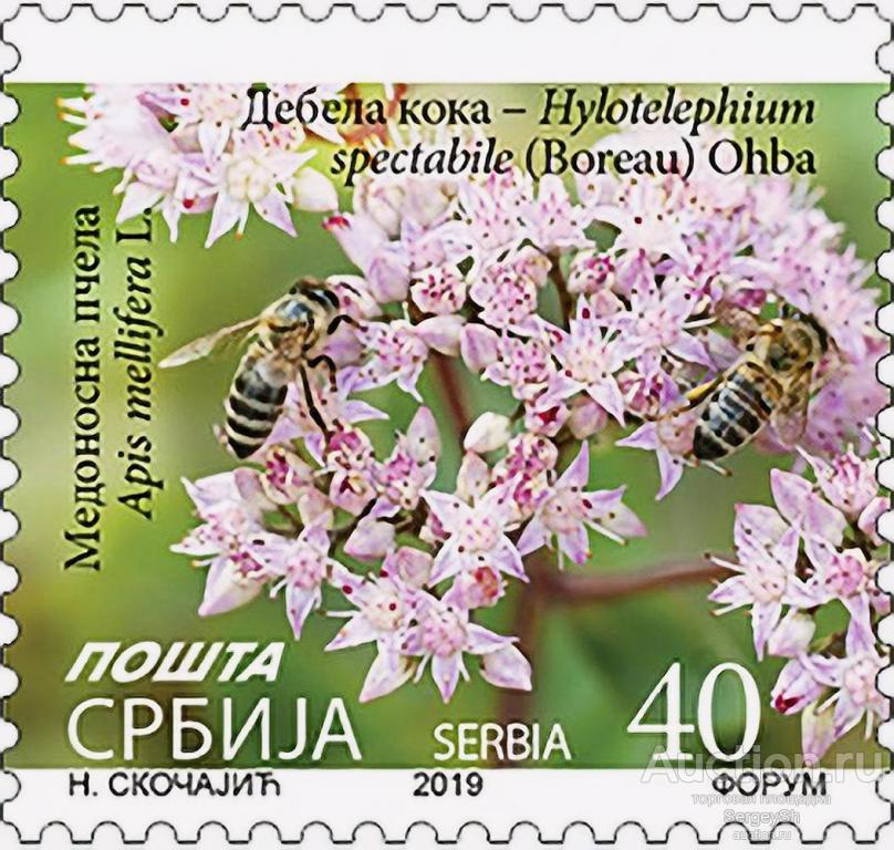 sb924 Сербия 2019г. Цветок с пчелой Цветы, Пчёлы MNH