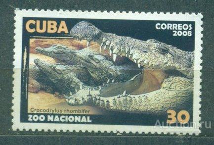 5118 Куба 2008г. Национальный зоопарк - Крокодил Крокодилы MNH