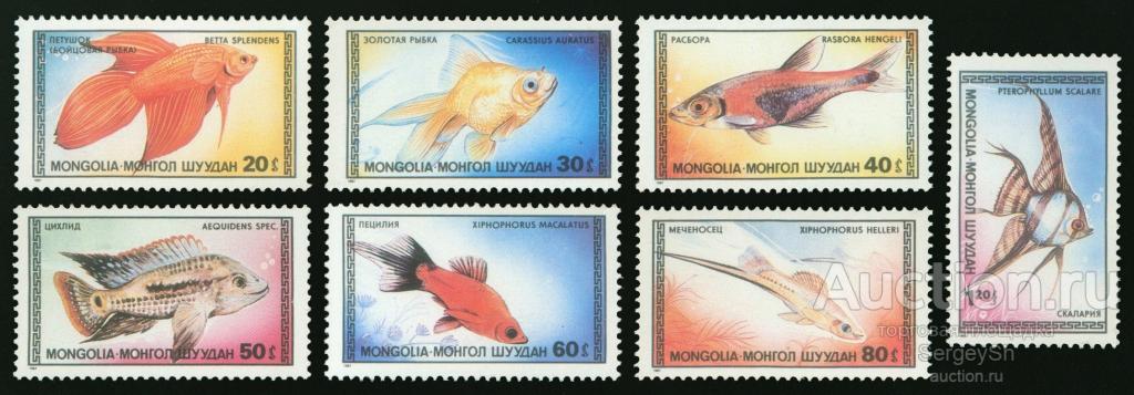 mn451 Монголия 1987г. Аквариумные рыбки Рыбы MNH