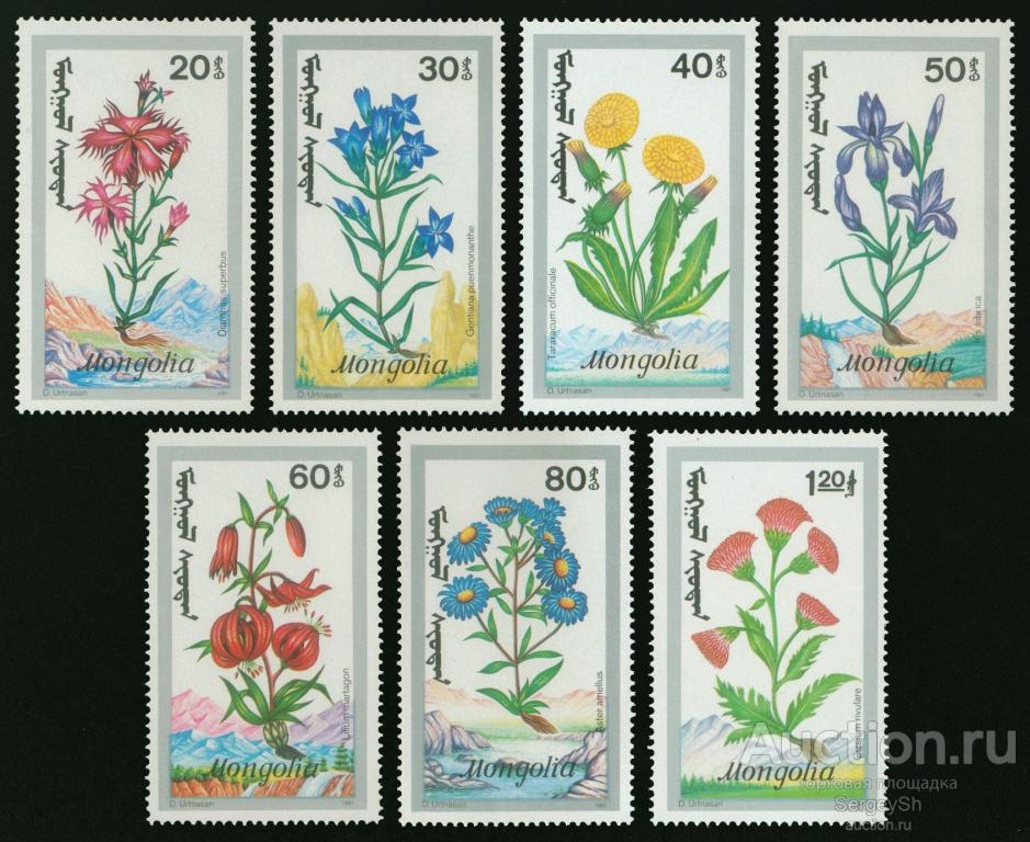 mn2263 Монголия 1991г. Лекарственные травы Цветы, Лекарственные растения MNH