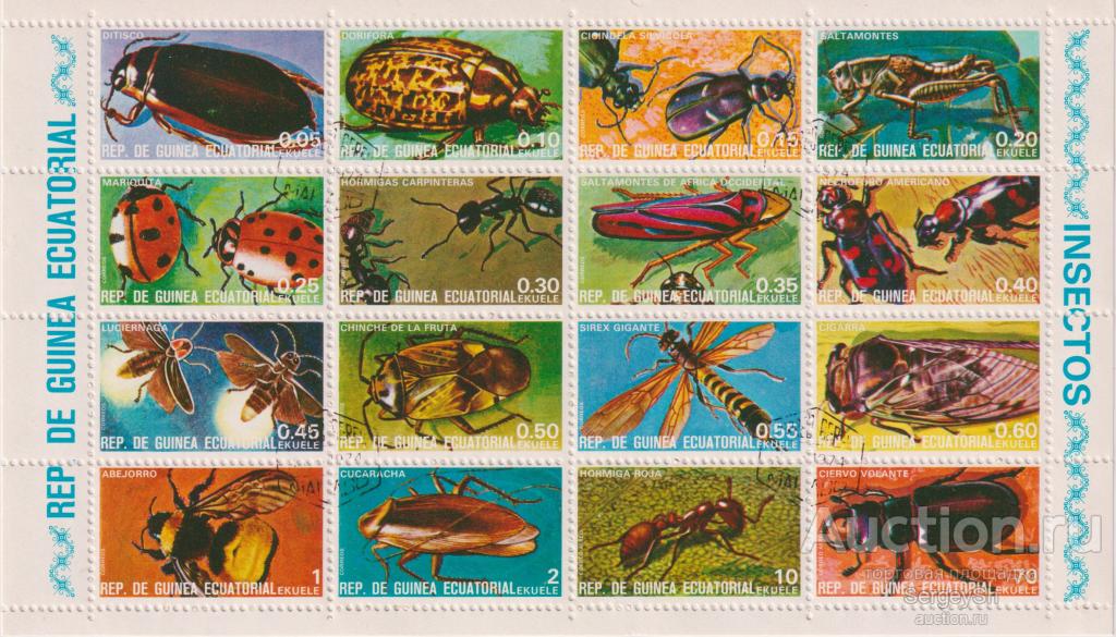 eg501-2 Экваториальная Гвинея 1974г. Beetles Насекомые U