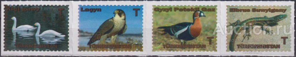 tm492ml Туркменистан 2021г. Фауна Туркменистана Спорт, Лошади MNH