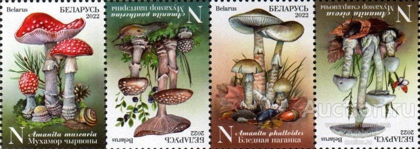 by1466 Беларусь 2022г. Ядовитые грибы Грибы, Флора MNH