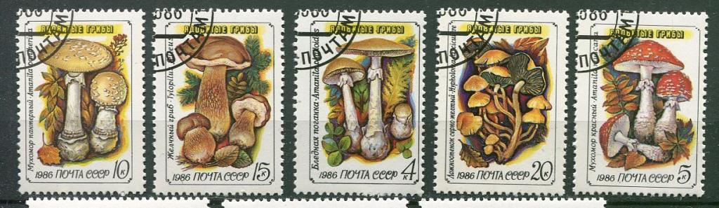 СССР 1986 - Ядовитые грибы 5 марок гашеные