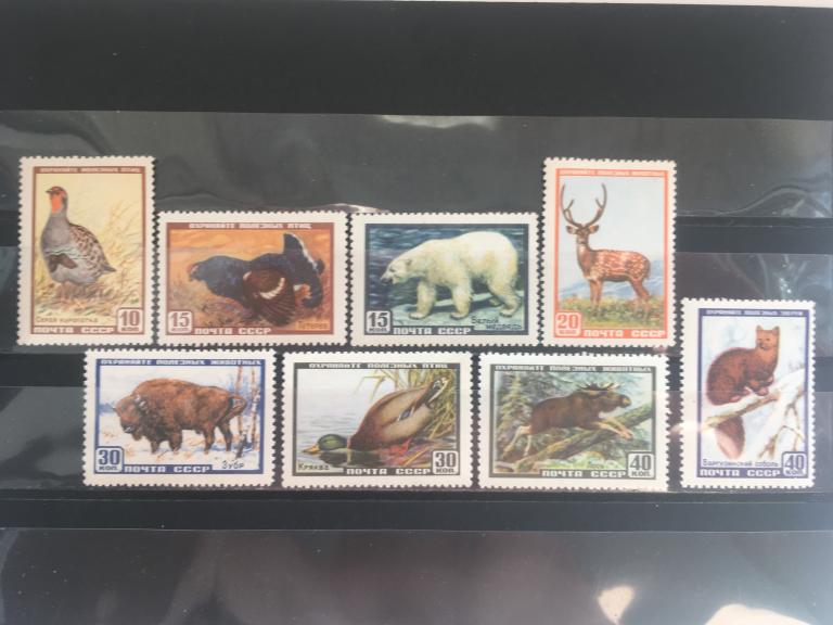 СССР «Фауна СССР.»     1957     *1986-1993