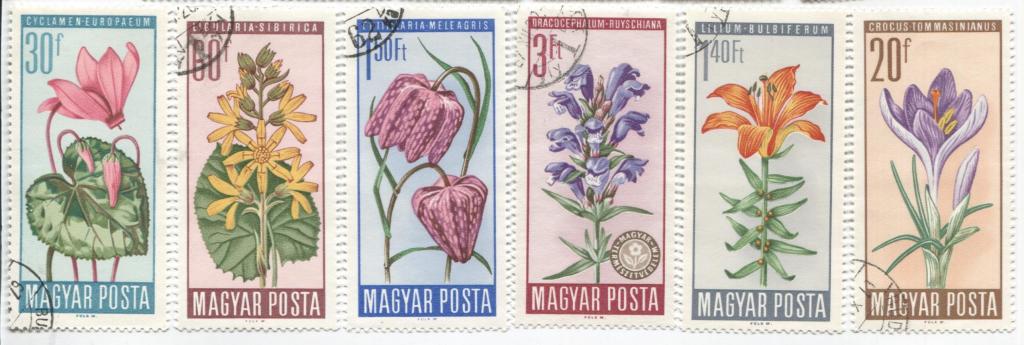 1966 Венгрия.цветы 6м. гаш