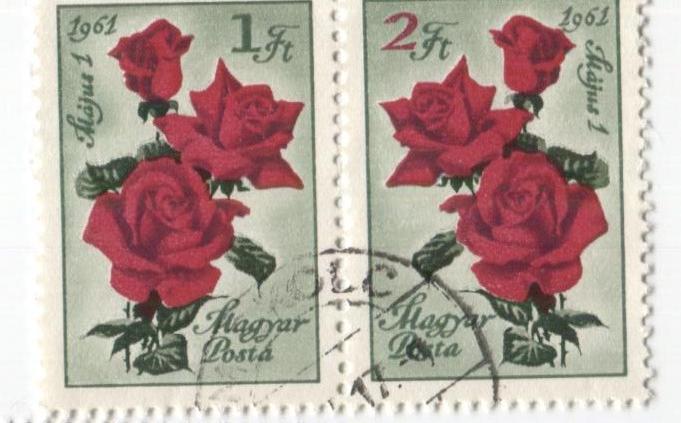 1961 Венгрия.цветы Розы День труда.сцепка 2м. гаш