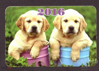 календарик  2016  год   собака    №   1767