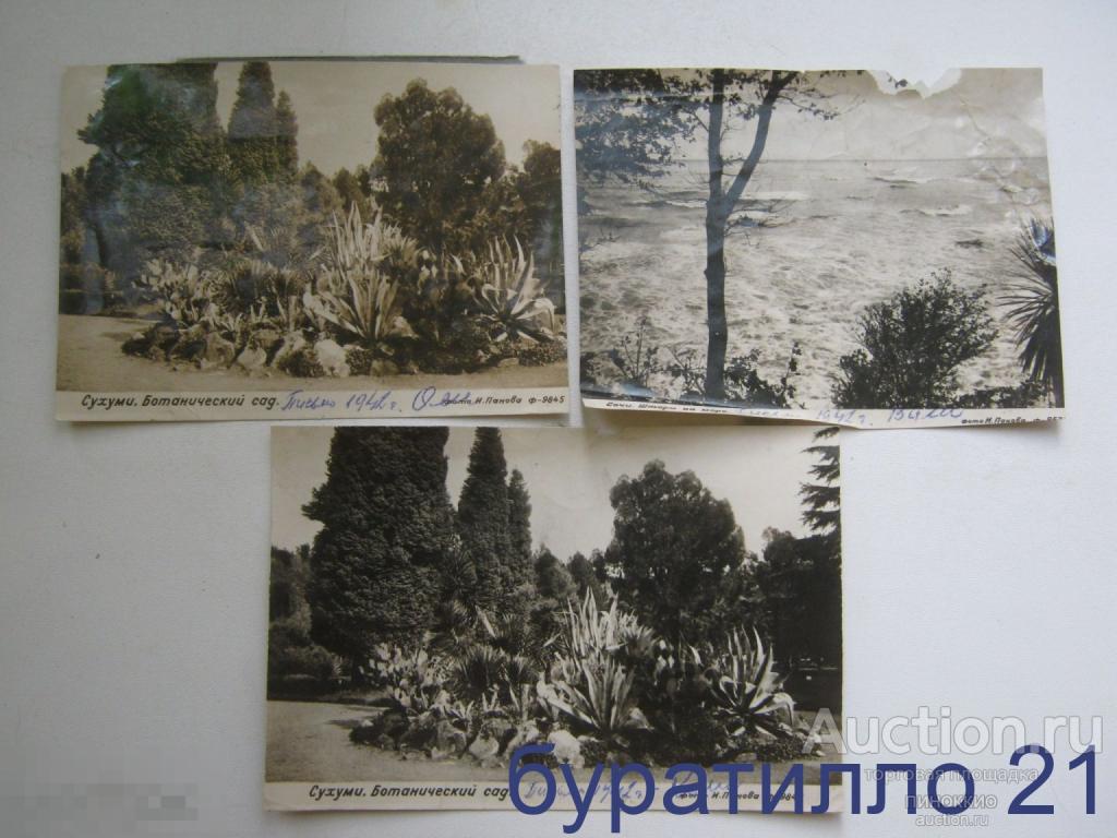 " Сочи. Сухуми."  Фото И. Панова 1941 год   13х18 