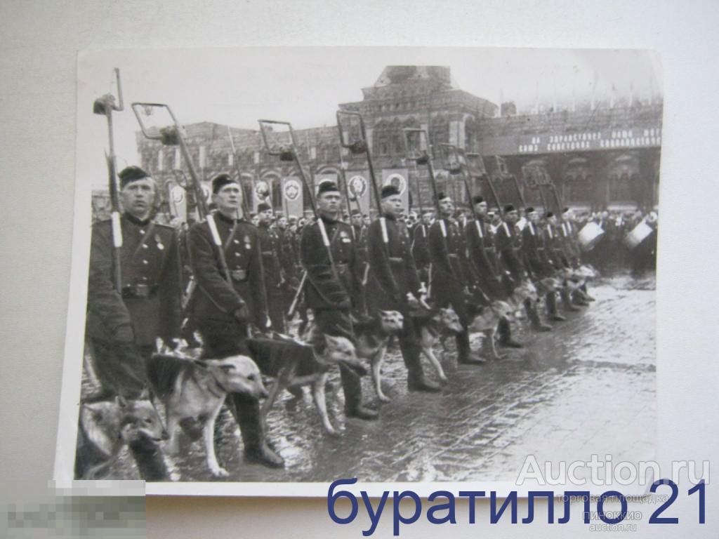 " Фото парады Победы .Собаководы"  16х12( профессиональное фото) 