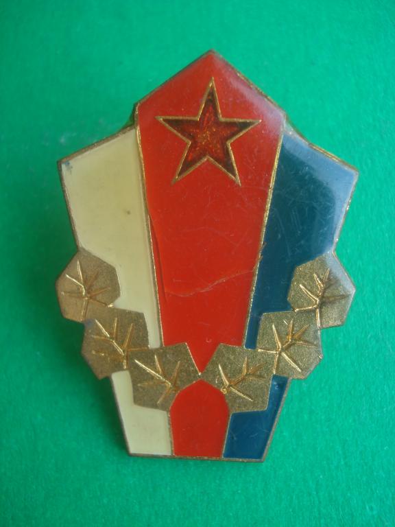 Армия. Чехословакия - ЧССР.  Отличное армейское подразделение - Гвардия. Тяжелый. Винт - гайка.