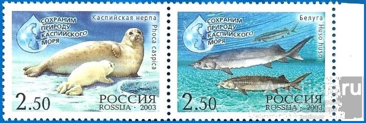 2003 Россия 886-887 Сохраним природу Каспийского моря (сцепка)** MNHOG (ЧБН)