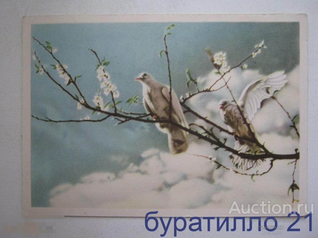 " Голуби. Весна  " Вьетнам ( двойная) 