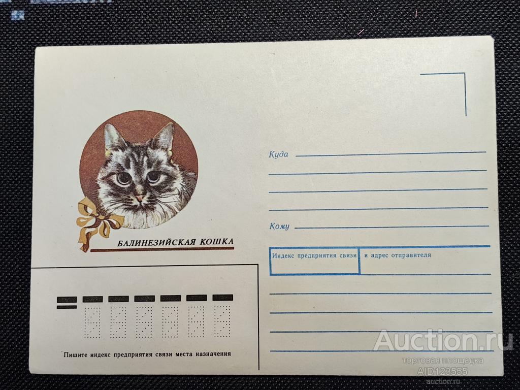 КОНВЕРТ БАЛИНЕЗИЙСКАЯ КОШКА ХУД. УСОВА