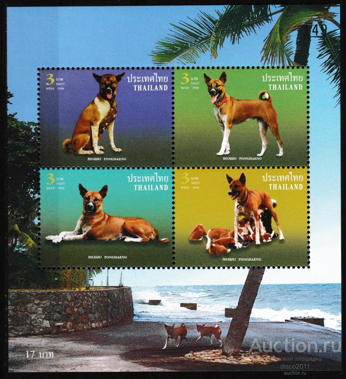 Таиланд 2006 Собаки Домашние животные Фауна сцепка**