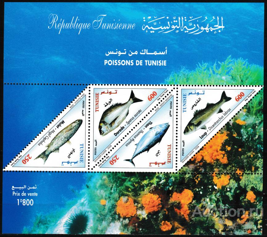 Тунис 2008 Рыбы Морская фауна моря к/боген**