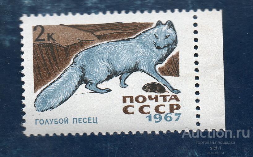 СССР 1967  Пушные промысловые звери ПЕСЕЦ **  чист