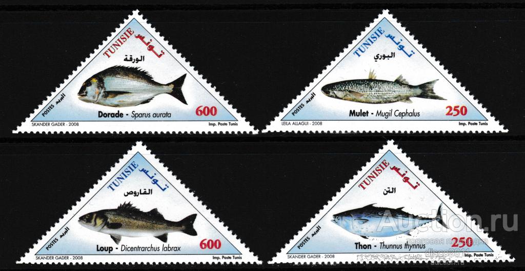 Тунис 2008 Рыбы Морская фауна моря 4м**