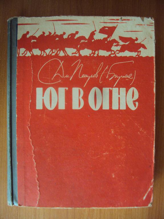 Юг в огне Петров ( Бирюк) Д.
