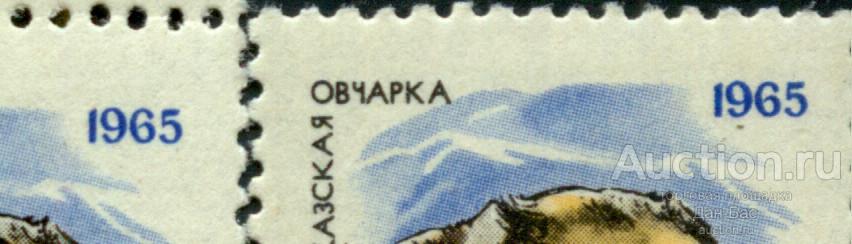 раз СССР 1965 СК 3082  **  СОБАКИ  ОТТЕНКИ БУМАГА КЛЕЙ  ТОЧКА ПОД 9