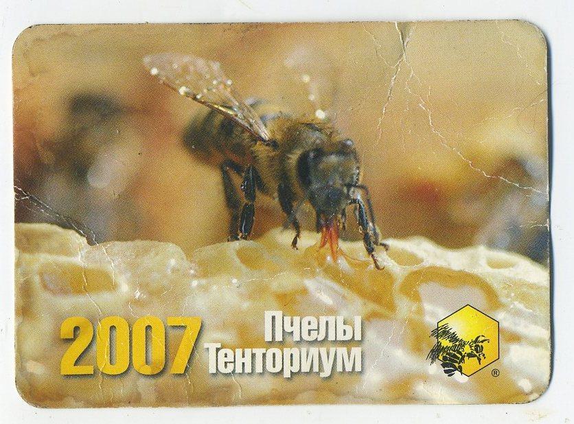 Тенториум - 2007 год - календарик