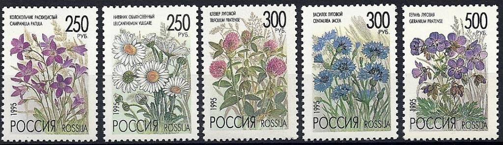 1995 216-220 Флора Полевые цветы России **