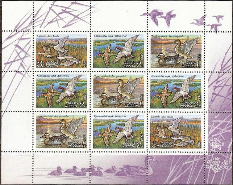 1992 35-37 Утки Малый лист фауна **