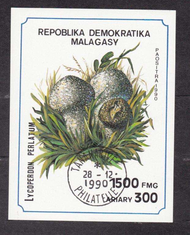 Мадагаскар 1990 Флора Грибы (9347)